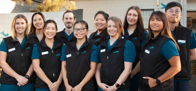 Vets in Endeavour Hills