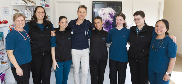 Vets on Balwyn